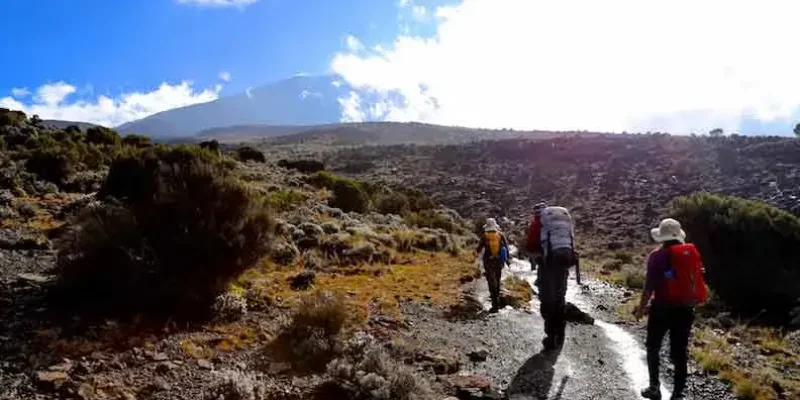 Machame Route